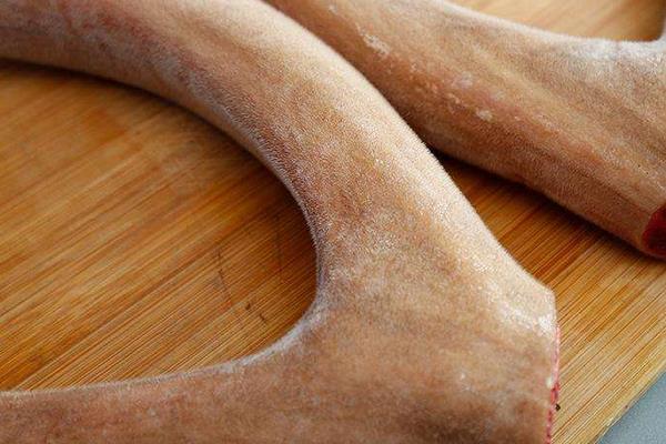 新鮮鹿茸怎么處理 鮮鹿茸怎么吃