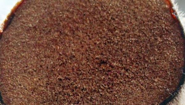 鹿茸粉的功效與作用及禁忌 鹿茸粉的藥用價(jià)值