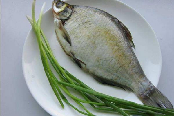 武昌魚怎么做好吃又簡單 武昌魚家常做法大全