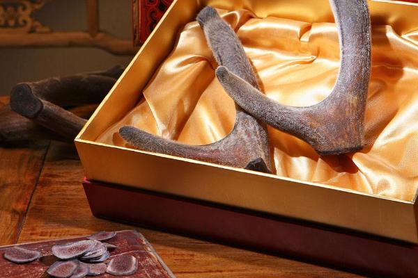 鹿茸的功效與作用及禁忌 鹿茸的藥用價值