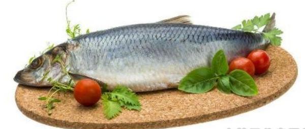 青魚和草魚哪個貴 青魚和草魚哪個好吃