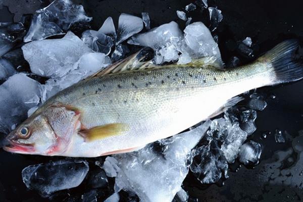 海鱸魚怎么做好吃又簡單 海鱸魚和淡水鱸魚哪個好