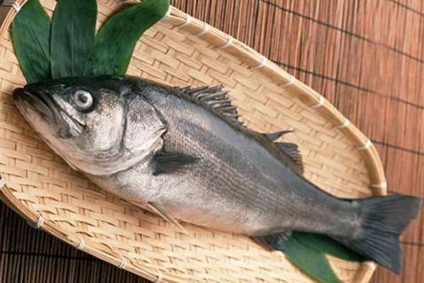 海鱸魚怎么做好吃又簡單 海鱸魚和淡水鱸魚哪個好