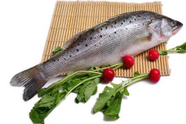 海鱸魚怎么做好吃又簡單 海鱸魚和淡水鱸魚哪個好