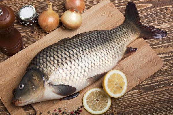 白鯽魚和黑鯽魚的區別是什么 白鯽魚和黑鯽魚的營養一樣嗎