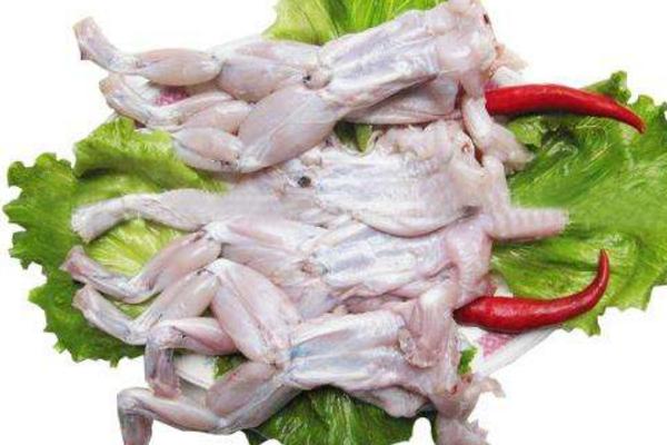 牛蛙嘌呤含量高嗎 牛蛙有激素嗎