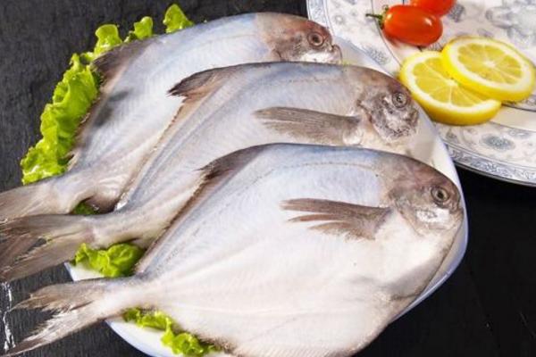 白鯧魚怎么洗干凈 平魚和鯧魚的區(qū)別是什么