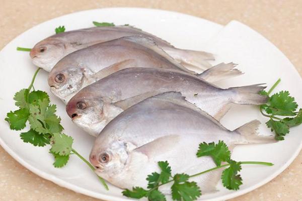 鯧魚怎么做好吃又簡單 鯧魚家常做法大全