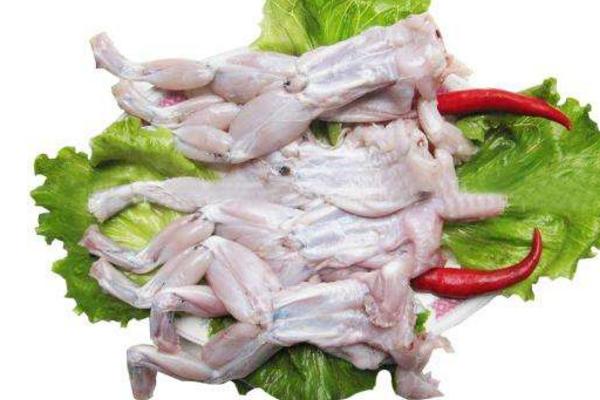 吃牛蛙會(huì)胖嗎 尿酸高可以吃牛蛙嗎