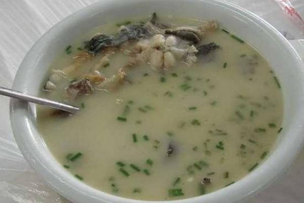 鯰魚湯功效與作用 鯰魚湯下奶嗎 鯰魚湯家常做法大全