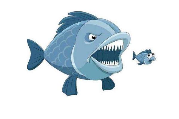 鯰魚效應的三點啟示 鯰魚效應生活中的例子