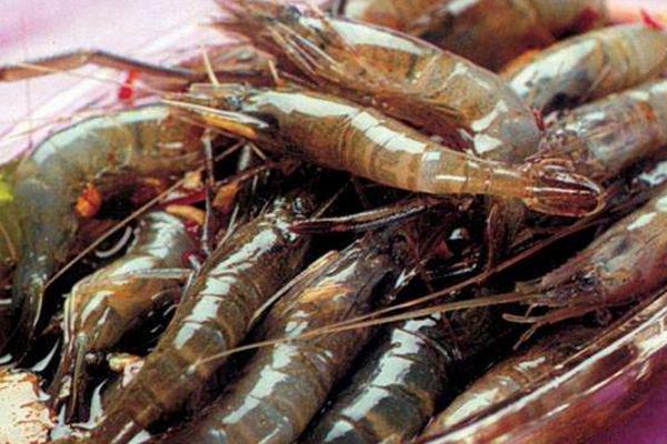 吃小河蝦需要去頭嗎 新鮮的小河蝦怎么保存