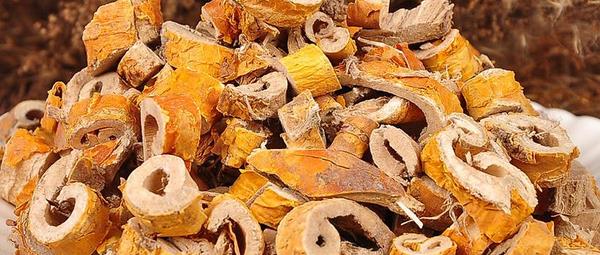 桑樹皮功效與作用及禁忌 桑樹皮藥用價值