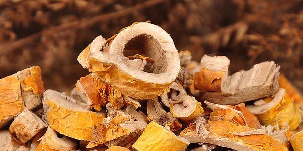 桑樹皮功效與作用及禁忌 桑樹皮藥用價值