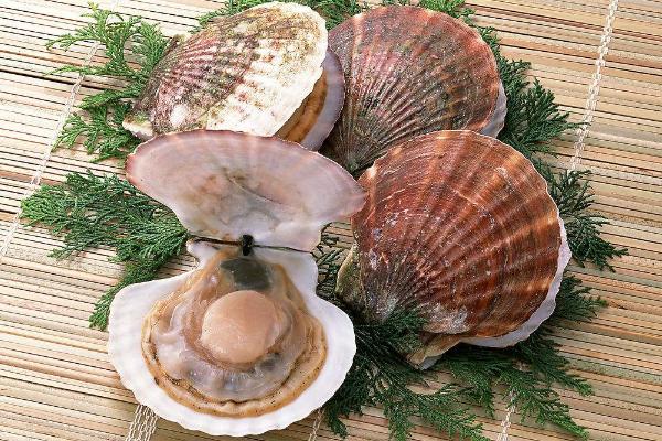 扇貝上的紅膏可以吃嗎 扇貝肉上的橙色能吃嗎