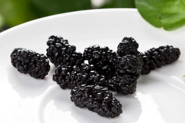 桑葚可以和牛奶一起吃嗎 吃桑葚回奶嗎