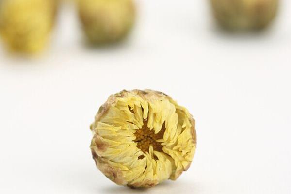 胎菊和杭白菊的區別是什么 胎菊的功效與作用