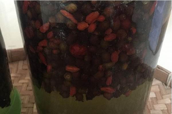 桃金娘的功效與作用及禁忌 桃金娘藥用價值