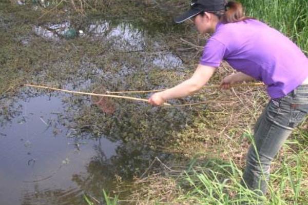 晚上釣龍蝦好釣嗎 用什么東西釣龍蝦最好