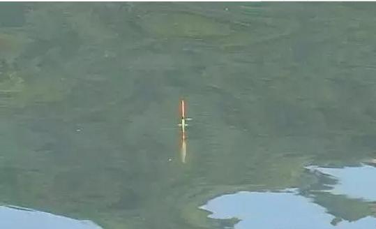 青魚釣底還是釣浮 青魚不開口怎么辦 釣青魚用什么小藥