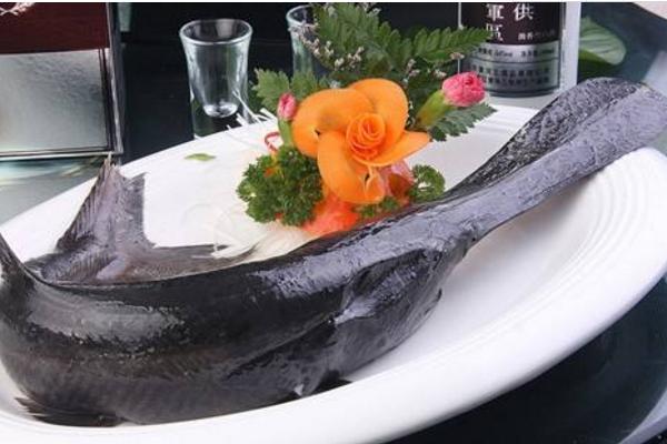 鴨嘴魚養殖技術 鴨嘴魚養殖喂什么飼料