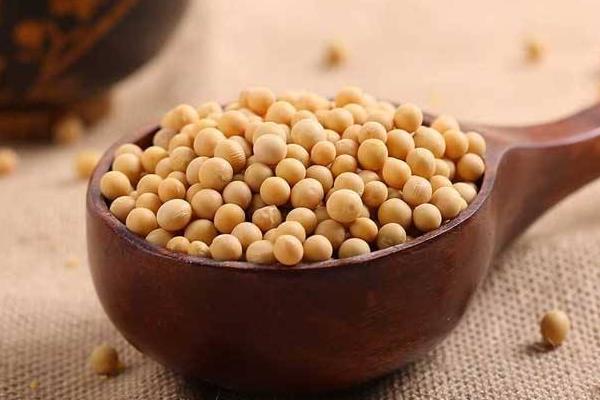 龍貓和倉(cāng)鼠的區(qū)別是什么 龍貓什么顏色最貴