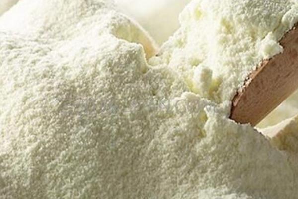 松獅吃什么狗糧好 松獅犬能長多大