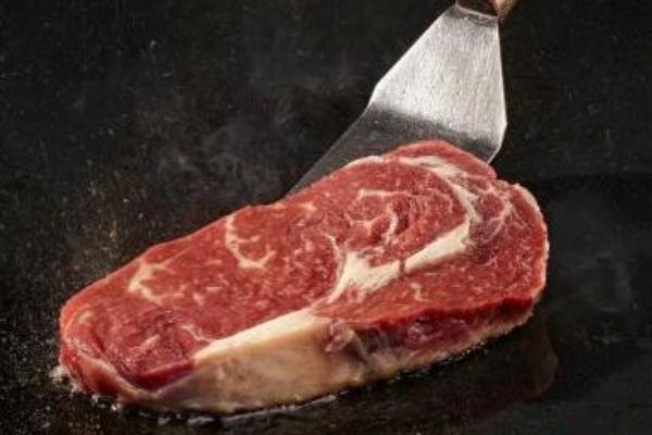 松獅吃什么狗糧好 松獅犬能長多大