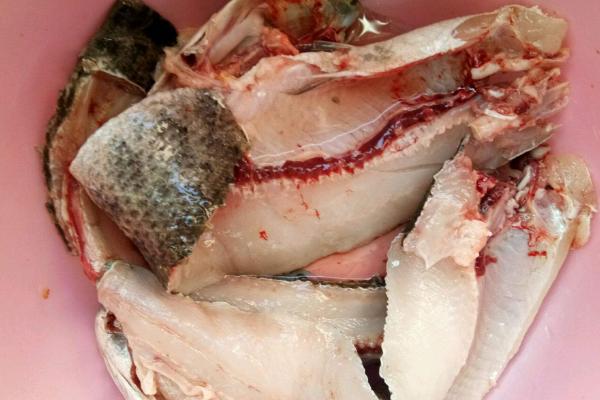 黑魚下奶嗎 黑魚什么人不能吃