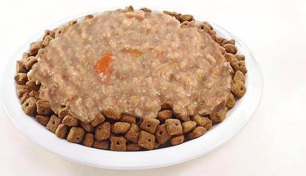 拉布拉多什么顏色好 拉布拉多是哪個(gè)國家的