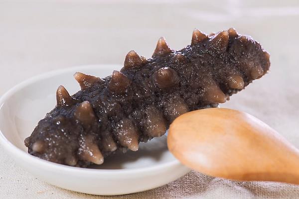 野生海參市場價格多少錢一斤 女人吃海參好嗎 吃海參補什么