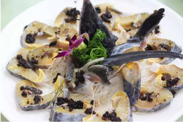  市場價格多少錢一斤 鱘魚和中華鱘的區(qū)別是什么