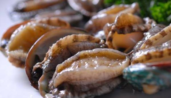 鮑魚如何鑒別真假好壞 鮑魚怎么挑選