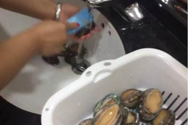 鮑魚如何鑒別真假好壞 鮑魚怎么挑選