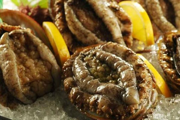 鮑魚如何鑒別真假好壞 鮑魚怎么挑選