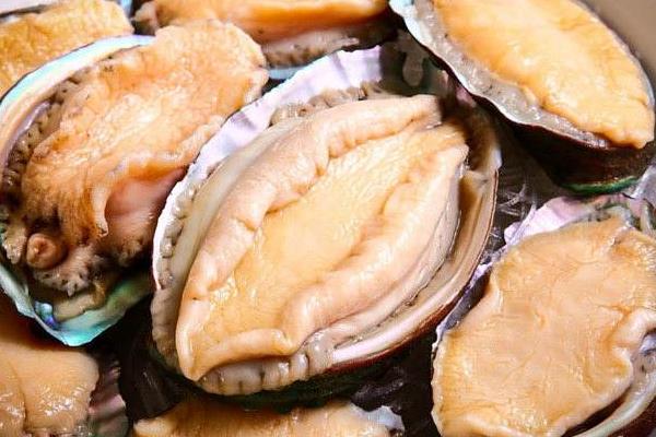 新鮮鮑魚怎么保存 鮑魚怎么看幾個頭