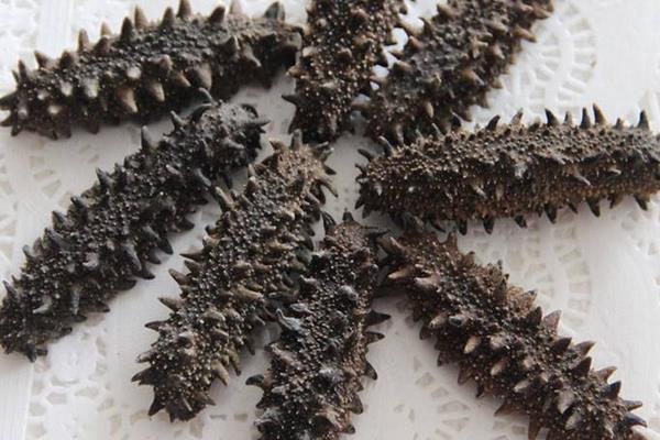 干海參市場價格多少錢一斤 一斤干海參有多少個