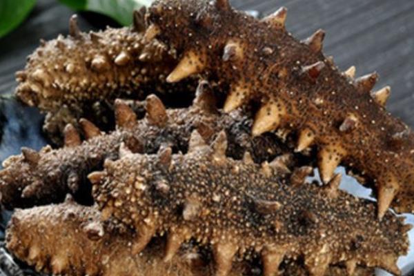 干海參市場價格多少錢一斤 一斤干海參有多少個