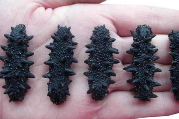 干海參市場價格多少錢一斤 一斤干海參有多少個