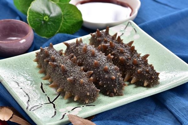 干海參怎么吃 干海參怎么泡發
