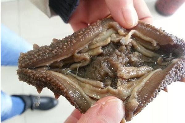 干海參怎么吃 干海參怎么泡發