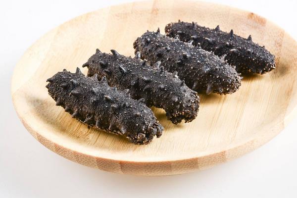 干海參怎么吃 干海參怎么泡發