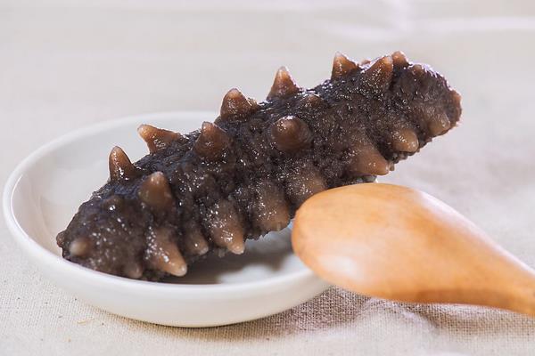 干海參怎么吃 干海參怎么泡發