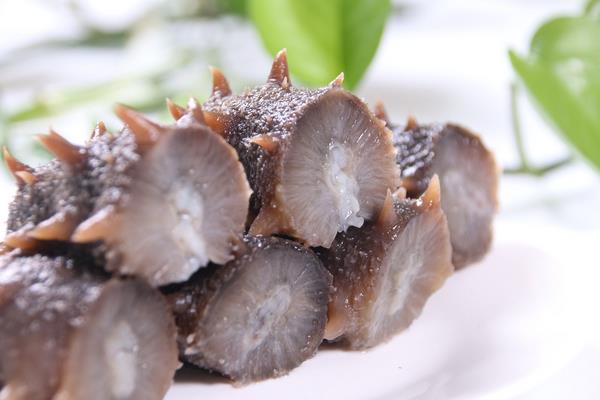 海參是植物還是動(dòng)物 海參是發(fā)物嗎