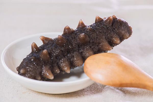 海參是植物還是動物 海參是發物嗎