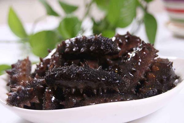 海參是植物還是動物 海參是發物嗎