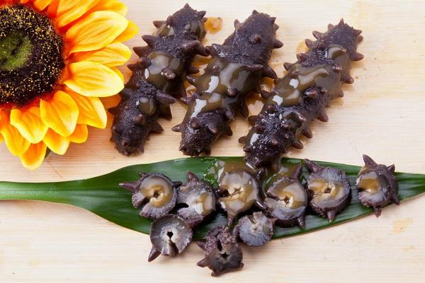 海參產地在哪里 海參哪里的最好