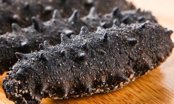 人造海參是什么做的 人造海參的鑒別方法