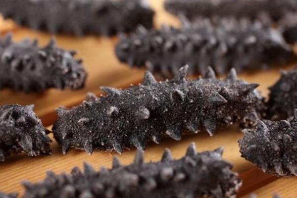 淡干海參和鹽干海參的區別是什么