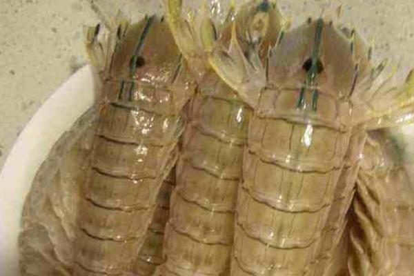 瀨尿蝦怎么吃 瀨尿蝦怎么剝 瀨尿蝦怎么清洗